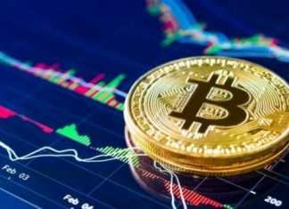 Bitcoin e altre criptovalute: il futuro dei pagamenti digitali bitcoin