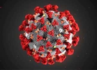 Coronavirus, a Roma i casi positivi sono di importazione