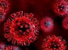 Il gene che protegge dalla forme gravi di Covid, ecco lo studio Coronavirus Italia