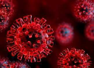 Il gene che protegge dalla forme gravi di Covid, ecco lo studio Coronavirus Italia