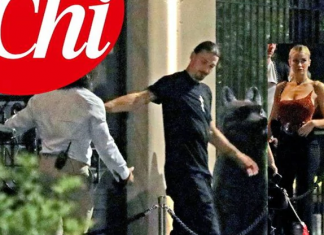 Addio King Toretto, Diletta Leotta va a cena con “Ibra”