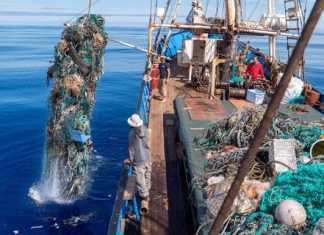 Rimosse 103 tonnellate di plastica nell’Oceano Pacifico