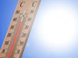 Il grande caldo africano sta arrivando in Italia. Ecco quando
