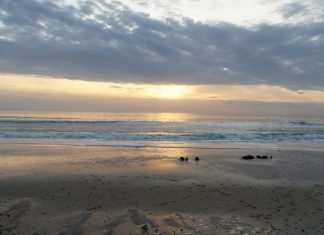 Coronavirus, 100 positivi in Francia in un resort nudista