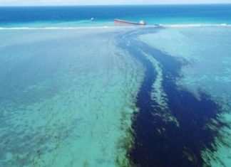 Mauritius dichiara lo stato di emergenza ambientale