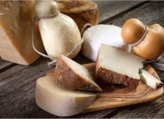 Dieci morti dopo aver mangiato un formaggio, indagini sul caseificio