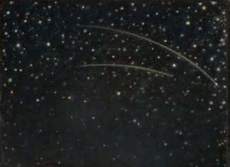Notte di San Lorenzo: gli eventi della serata delle stelle cadenti