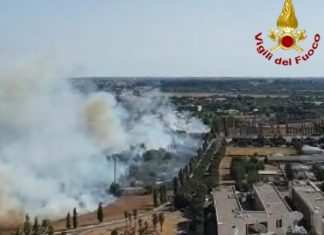 Roma, quattro incendi nel giro di poche ore: strade e ferrovie ferme Uno degli incendi di oggi (Adnkronos)