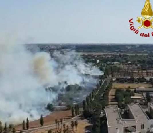 Roma, quattro incendi nel giro di poche ore: strade e ferrovie ferme Uno degli incendi di oggi (Adnkronos)