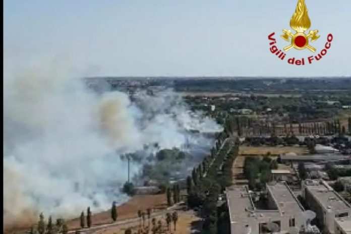 Uno degli incendi di oggi (Adnkronos)