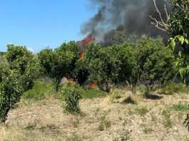 Aereo superleggero precipita nel cosentino, due morti