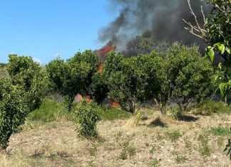 Aereo superleggero precipita nel cosentino, due morti