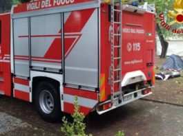 Marina di Massa: albero cade e uccide due sorelle in un campeggio Incidente campeggio Marina di Massa