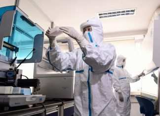 Coronavirus, ci si può ammalare due volte: confermato primo caso di reinfezione Coronavirus, Hong Kong