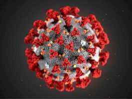Coronavirus: a Roma sono 48 i nuovi casi positivi