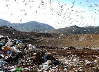 Lazio: rifiuti, la Regione approva il piano e la Raggi si infuria Discarica Lazio