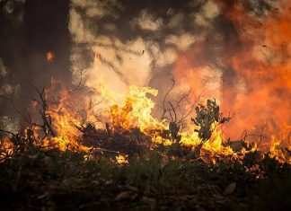 Incendi in California: nessun miglioramento e migliaia di persone evacuate