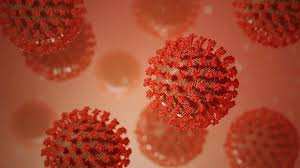 Coronavirus, allarme in una discoteca della Calabria