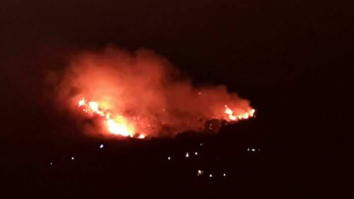 incendio-budoni-sardegna-ansa-2