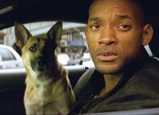 “Io sono leggenda”: solitudine e mostri Will Smith in Io sono leggenda - Photo Credits: web