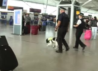 Londra, italiano arrestato dall’unità antiterrorismo all’aeroporto di Stansted