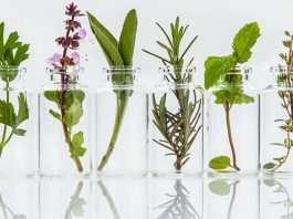 Beauty: perché scegliere prodotti bio?