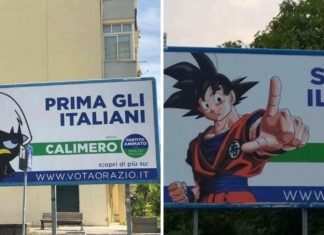 Elezioni regionali, in Campania manifesti elettorali con Sailor Moon e Goku elezioni regionali campane, fonte vesuviolive,it