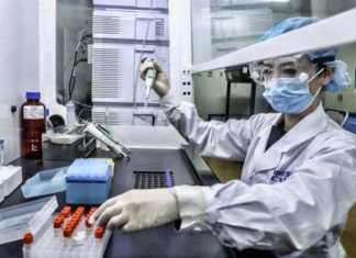 Cina, fuga di batteri da laboratorio Cina, fuga batteri