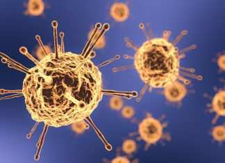 Coronavirus, picco di contagi in Gran Bretagna e zone rosse per la Francia
