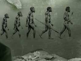 Charles Darwin approda sulle isole Galápagos
