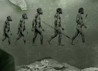 Charles Darwin approda sulle isole Galápagos