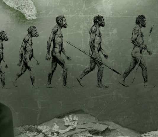 Charles Darwin approda sulle isole Galápagos