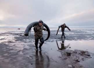 “Genesis 2.0”, tra Mad Max e Jurassic Park Genesis 2.0, Christian Frei - Ph. Credit: web