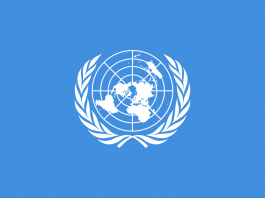 La nascita dell’ONU, Organizzazione per le Nazioni Unite