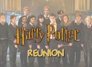 Harry Potter, reunion dopo 19 anni?