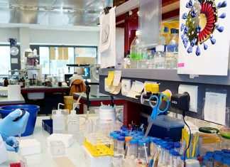 Coronavirus, aumentano i decessi: possibili micro zone rosse