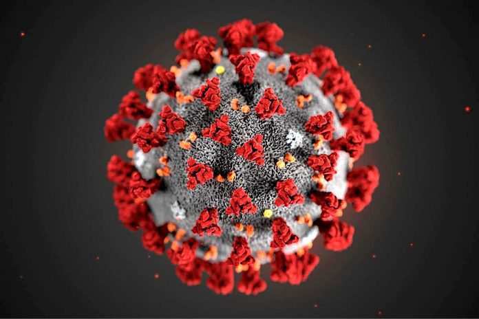 coronavirus-5367891_1920