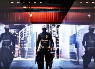 F1, Hamilton dubbioso su Petrov come commissario f1 Hamilton Petrov