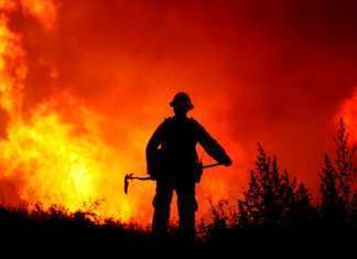 California, enorme incendio sulle colline di Irvine: è allarme rosso