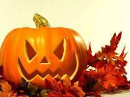 Halloween per fifoni: corti animati a tema Halloween Photo credit: web