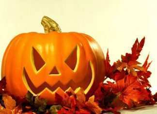 Halloween per fifoni: corti animati a tema Halloween Photo credit: web