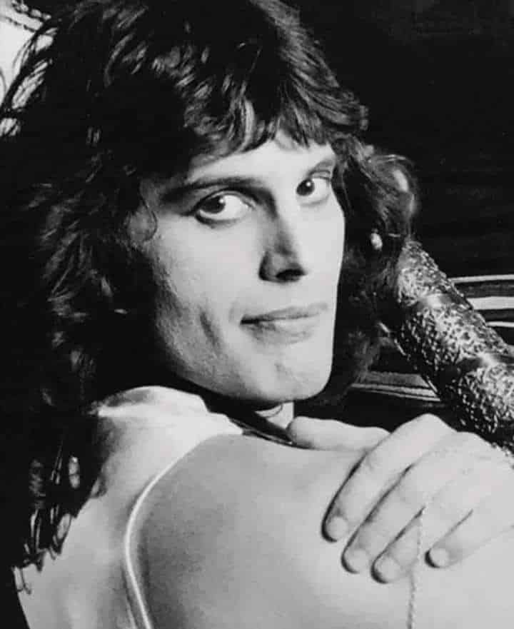 Freddie Mercury