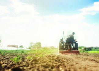 Agricoltura e attrezzature: come trattare il terreno