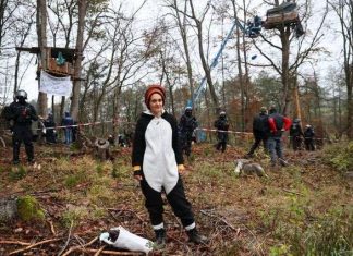 Arrestata Carola Rackete per opposizione all’abbattimento di una foresta