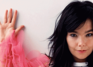 Björk, la cantante fuori dagli schemi Björk - photo credits: deerwaves.com