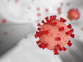 Coronavirus, ultime notizie, 500 mila italiani vaccinati