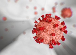 Coronavirus, il bollettino del 19 novembre 2020: 36.176 nuovi casi e 653 morti