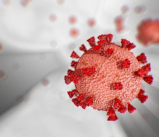 Coronavirus, il bollettino del 19 novembre 2020: 36.176 nuovi casi e 653 morti