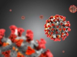 Coronavirus, il bollettino del 16 novembre 2020: 27.354 nuovi casi e 504 morti