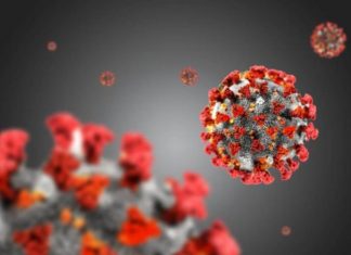 Coronavirus, il bollettino del 16 novembre 2020: 27.354 nuovi casi e 504 morti